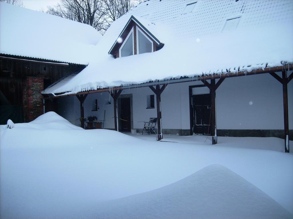 Penzion U dvojice Nove Mesto na Morave Exteriér fotografie