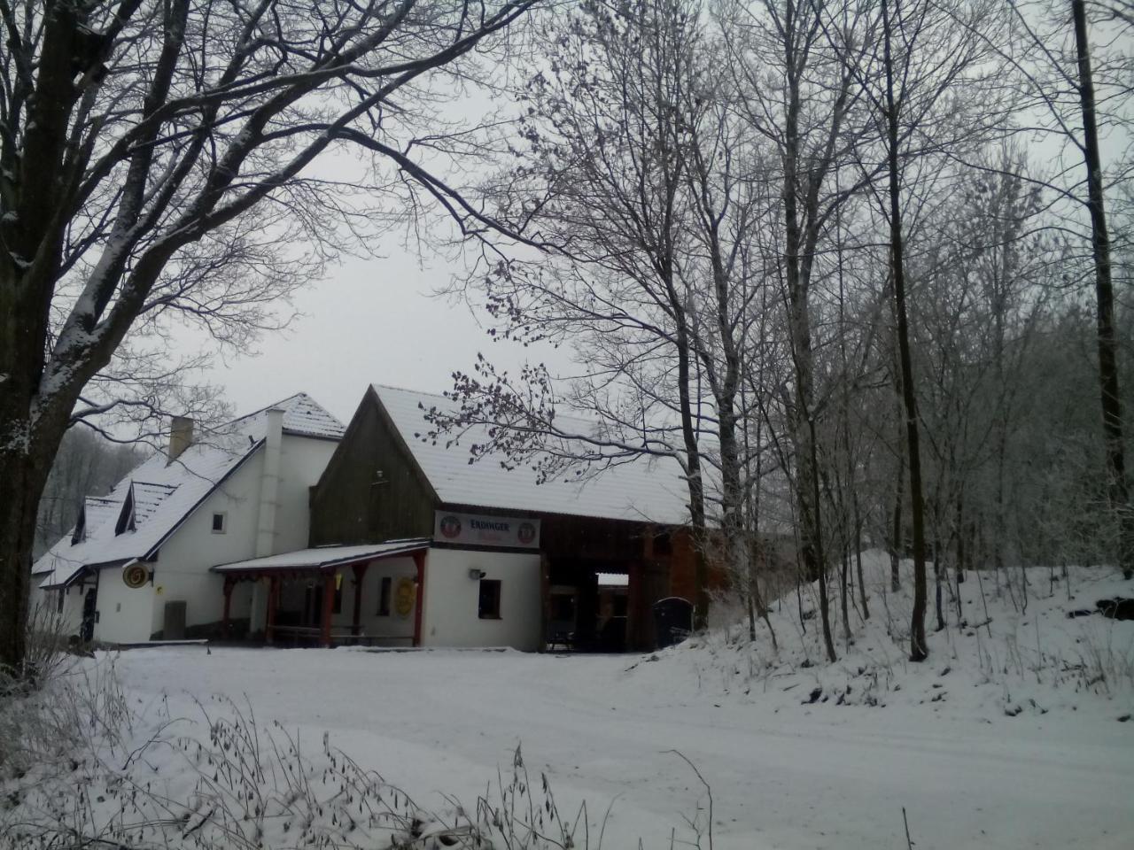 Penzion U dvojice Nove Mesto na Morave Exteriér fotografie